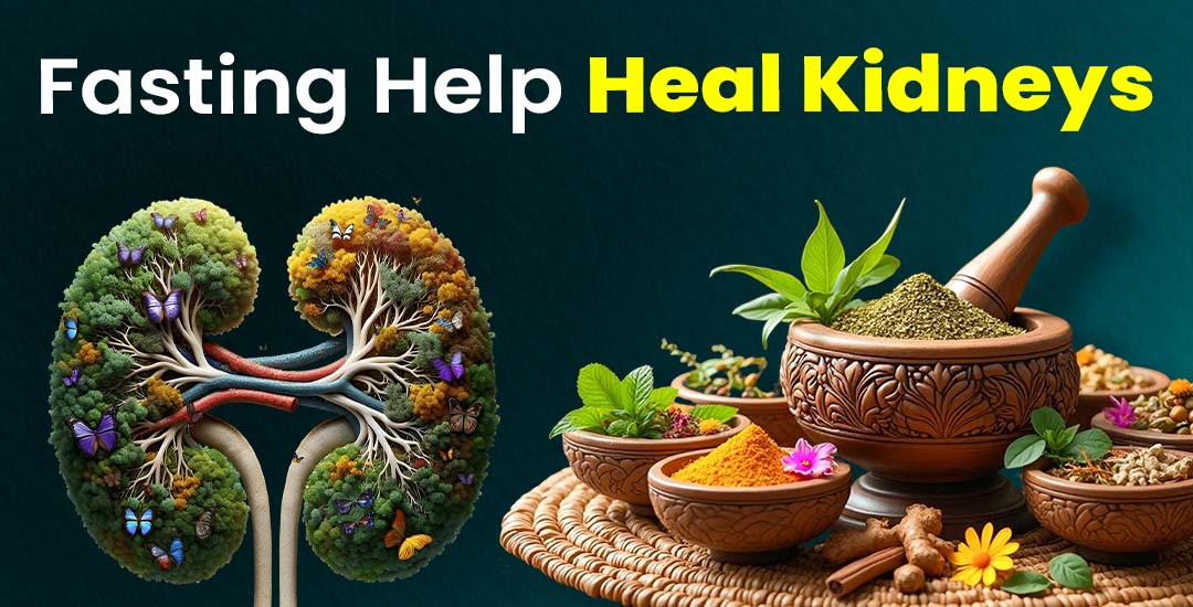 Can Fasting Help Heal Kidneys?